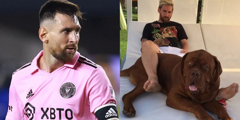 Messi có nuôi một chú chó khổng lồ tên là Hulk